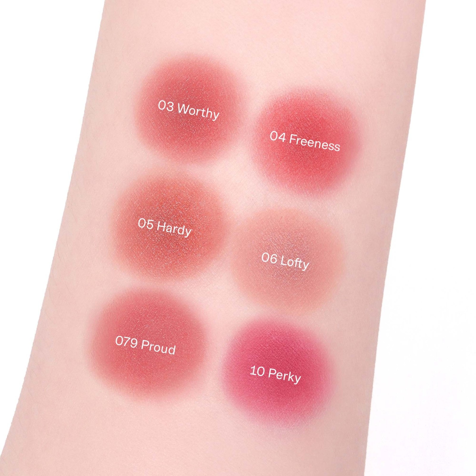 Lipsleek Blur · BRAYE | MiiN Cosmetics