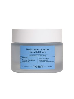 Niacinamide Cucumber Aqua Gel Cream - Meisani | MiiN