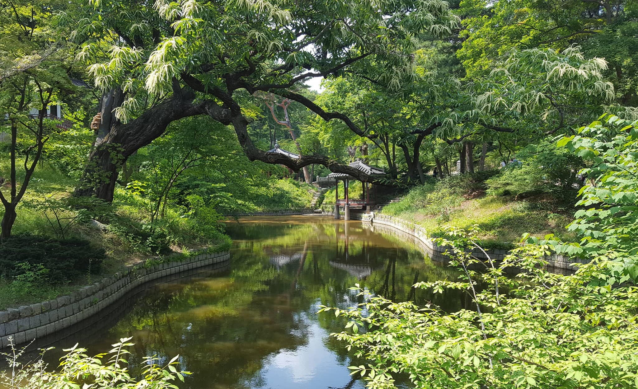 Découvrir le Jardin secret du palais Changdeokgung