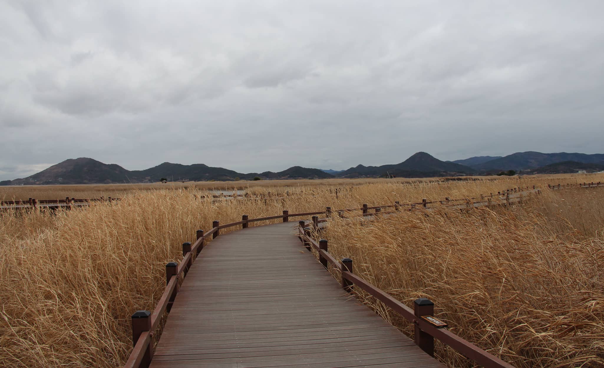 La baie de Suncheon, un paysage de carte postale
