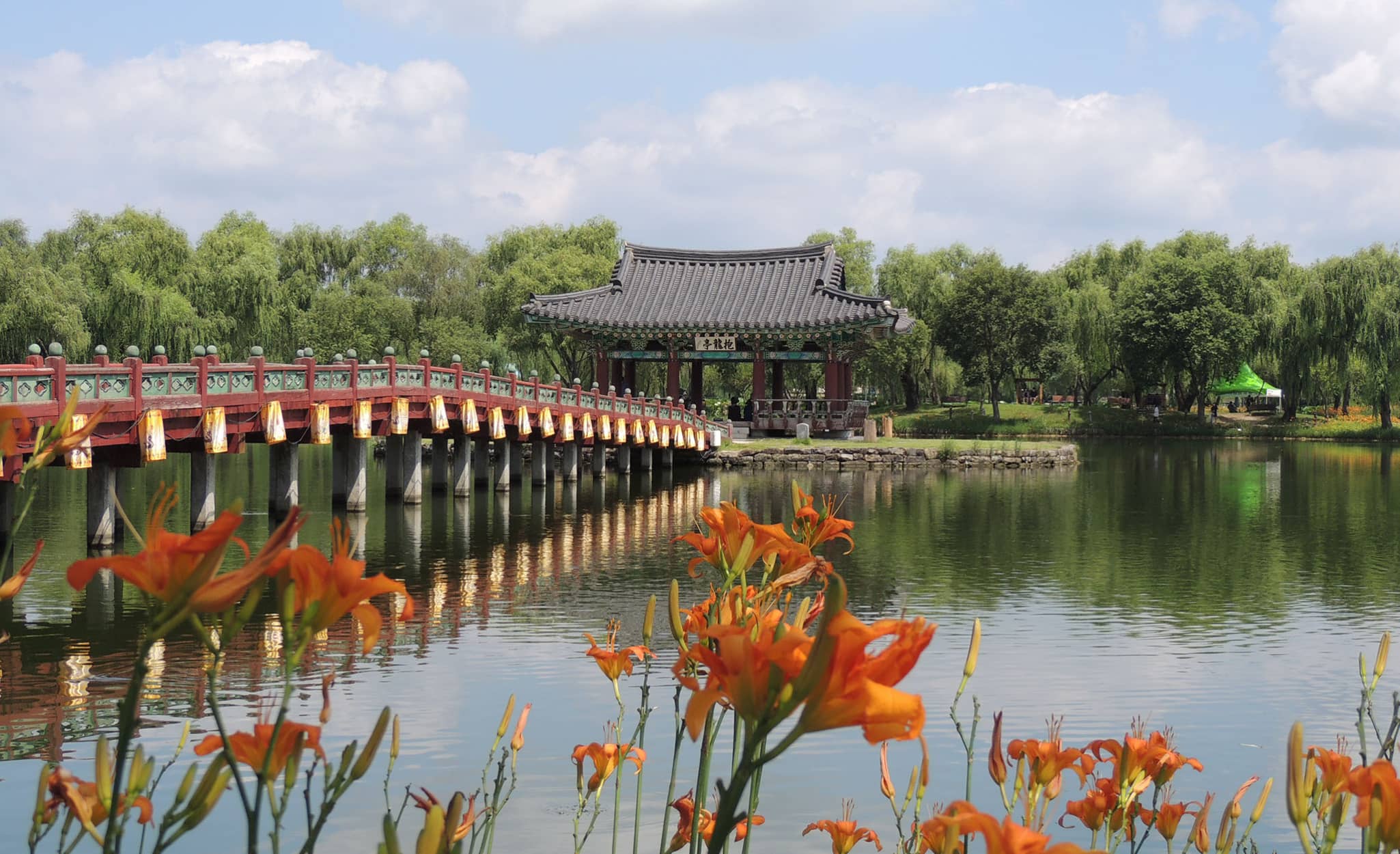 Voyager en Corée du Sud : L’étang aux lotus de Buyeo