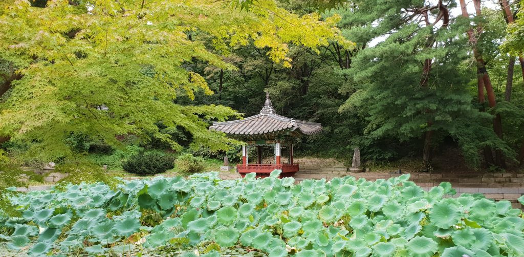 Voyager en Corée du Sud : Top 10