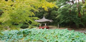 Voyager en Corée du Sud : Top 10